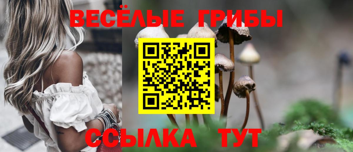 Галлюциногенные грибы прущие грибы Усолье-Сибирское